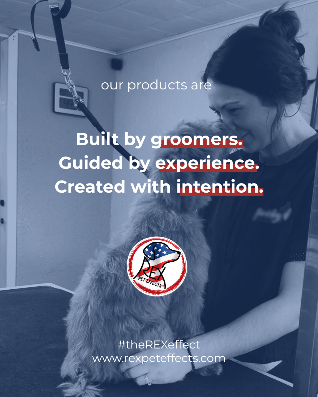 The Professional Standard: Why We Created REX