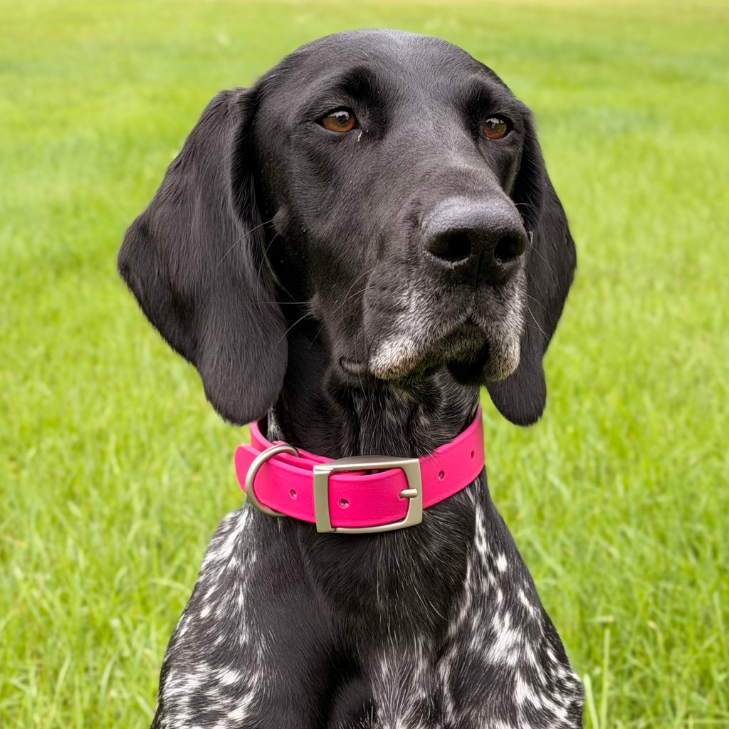 Classic Biothane® Collar