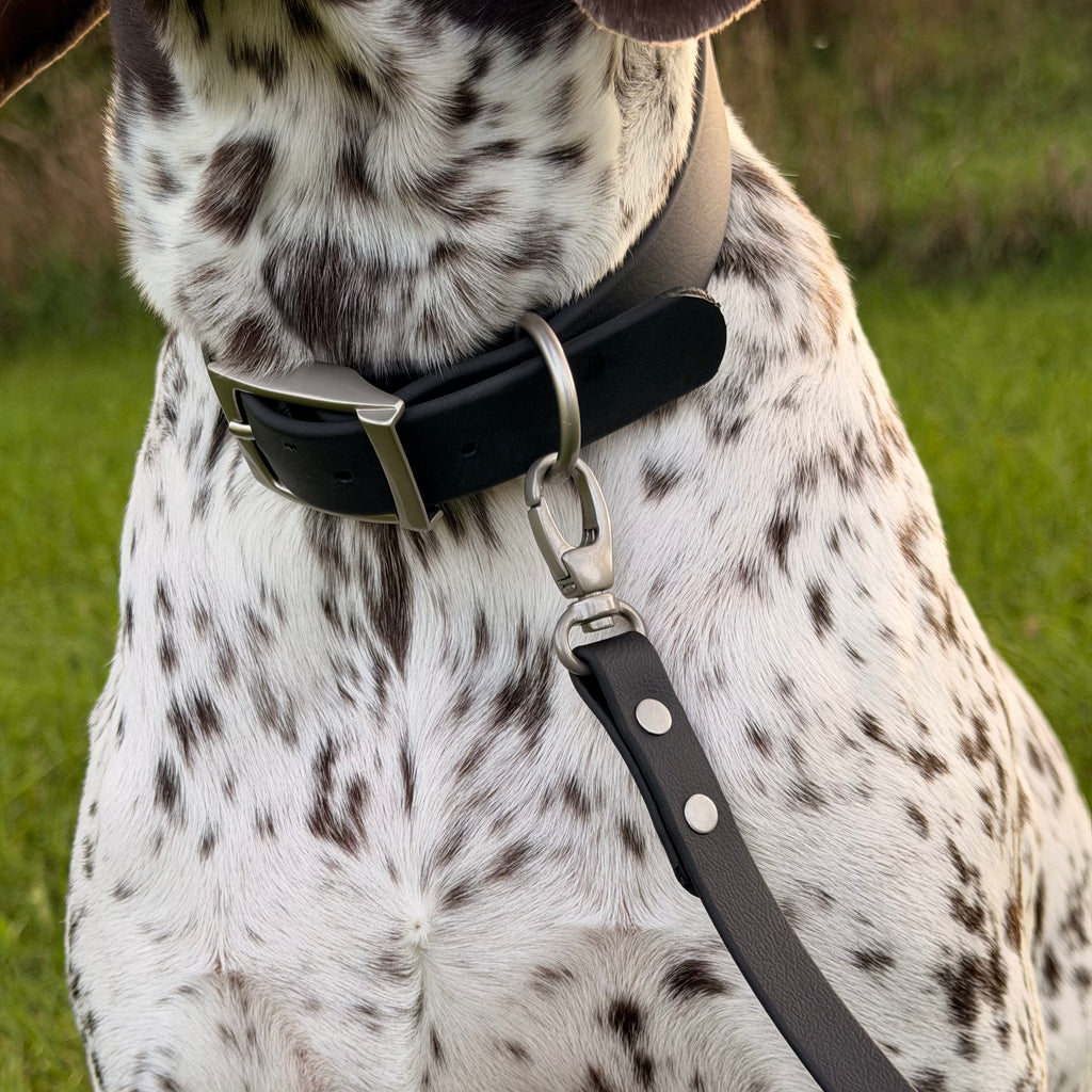 Classic Biothane® Leash