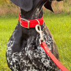 Classic Biothane® Leash