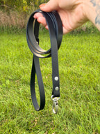 Classic Biothane® Leash