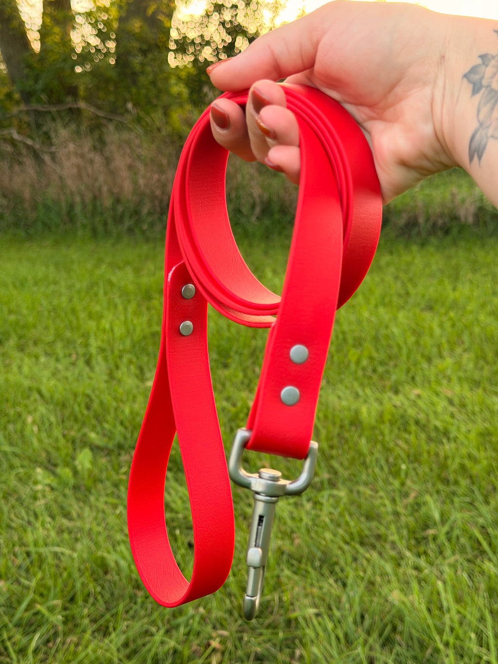 Classic Biothane® Leash
